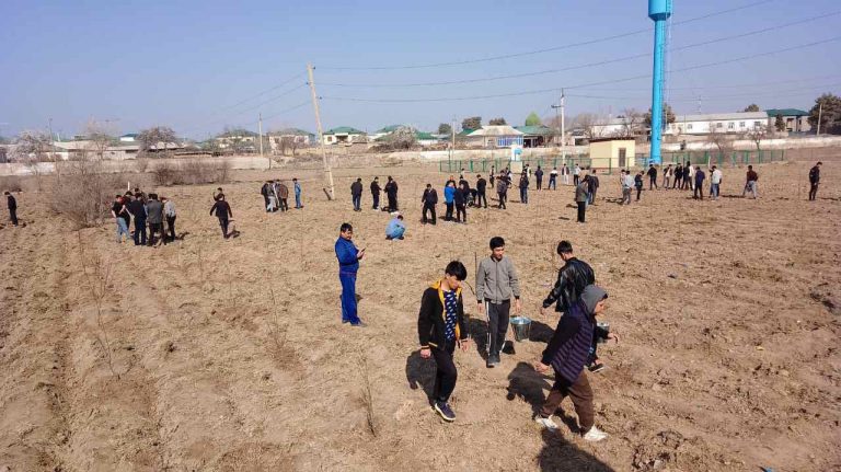 Read more about the article Bahorgi  mavsumga tayyorgarlik