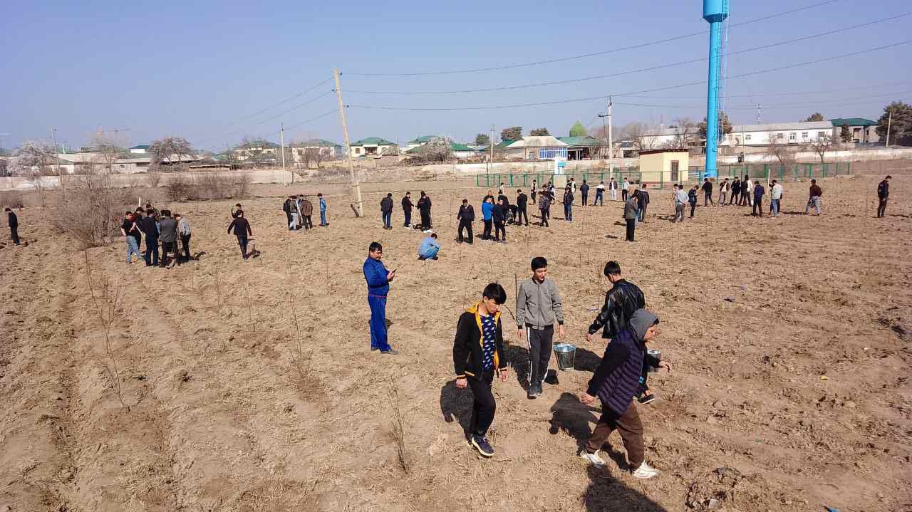 You are currently viewing Bahorgi  mavsumga tayyorgarlik