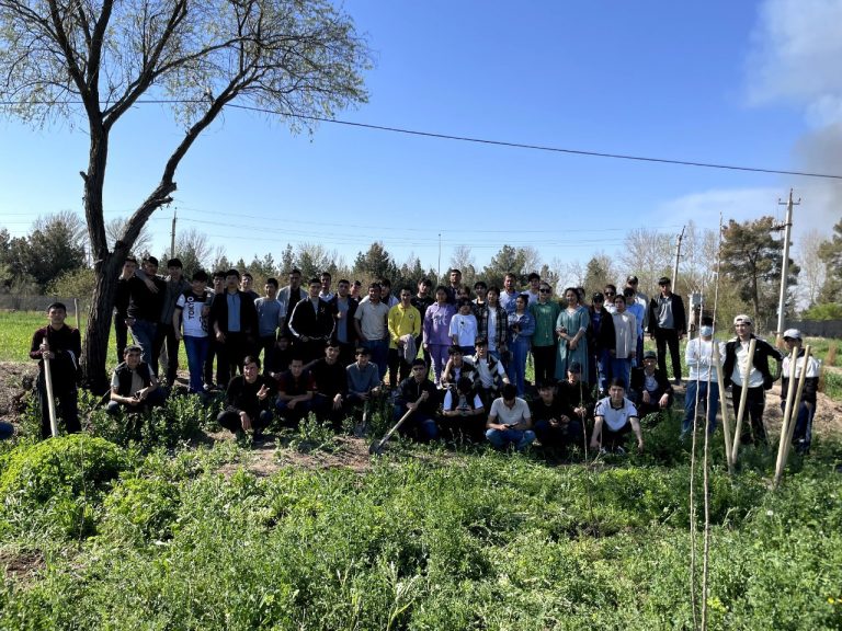 Read more about the article “Green space”