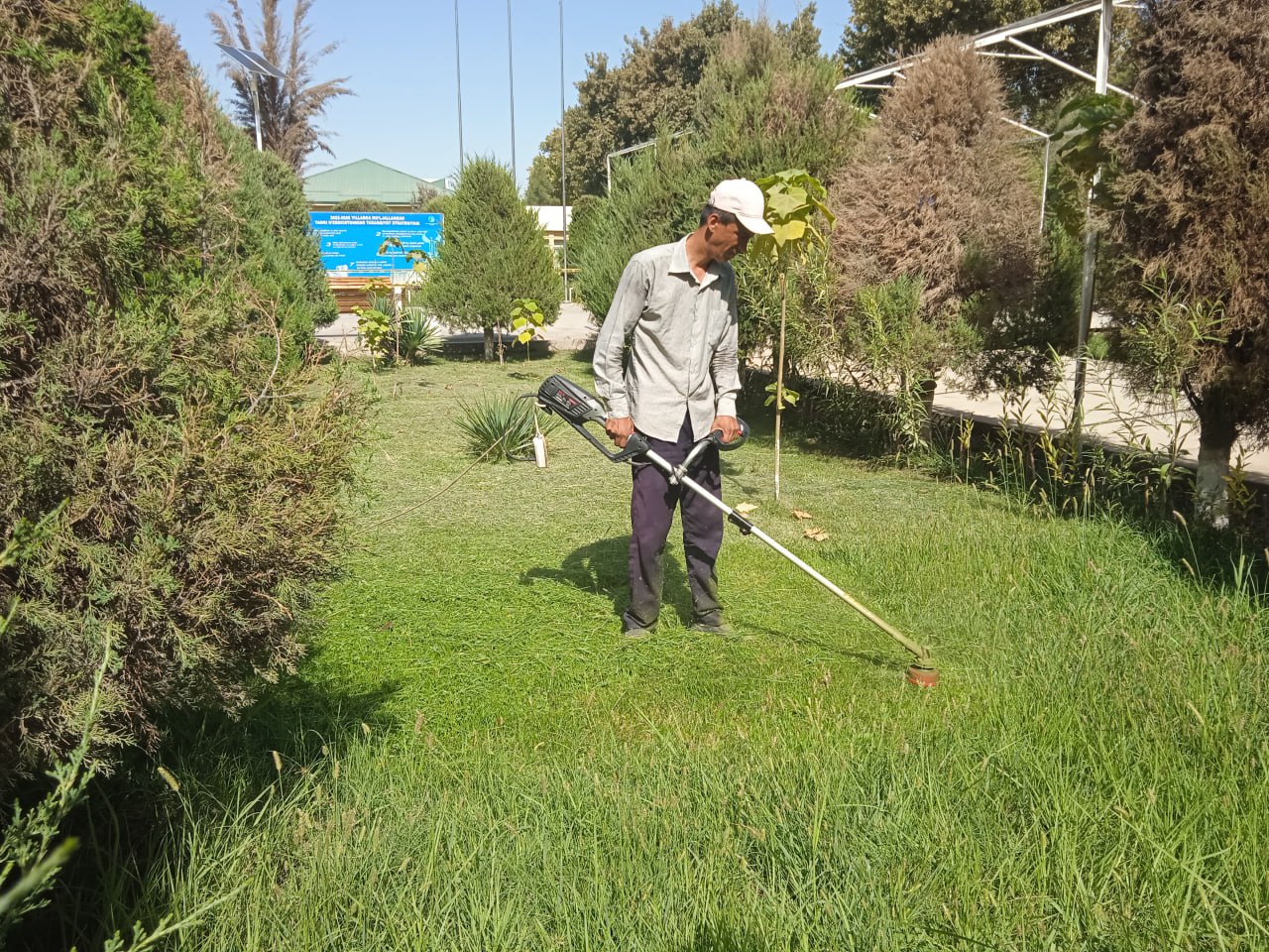 You are currently viewing Toshkent tibbiyot akademiyasi Termiz filiali binolari hududida &laquo;Obodonlashtirish oyligi&raquo; doirasida obodonlashtirish ishlari davom etmoqda