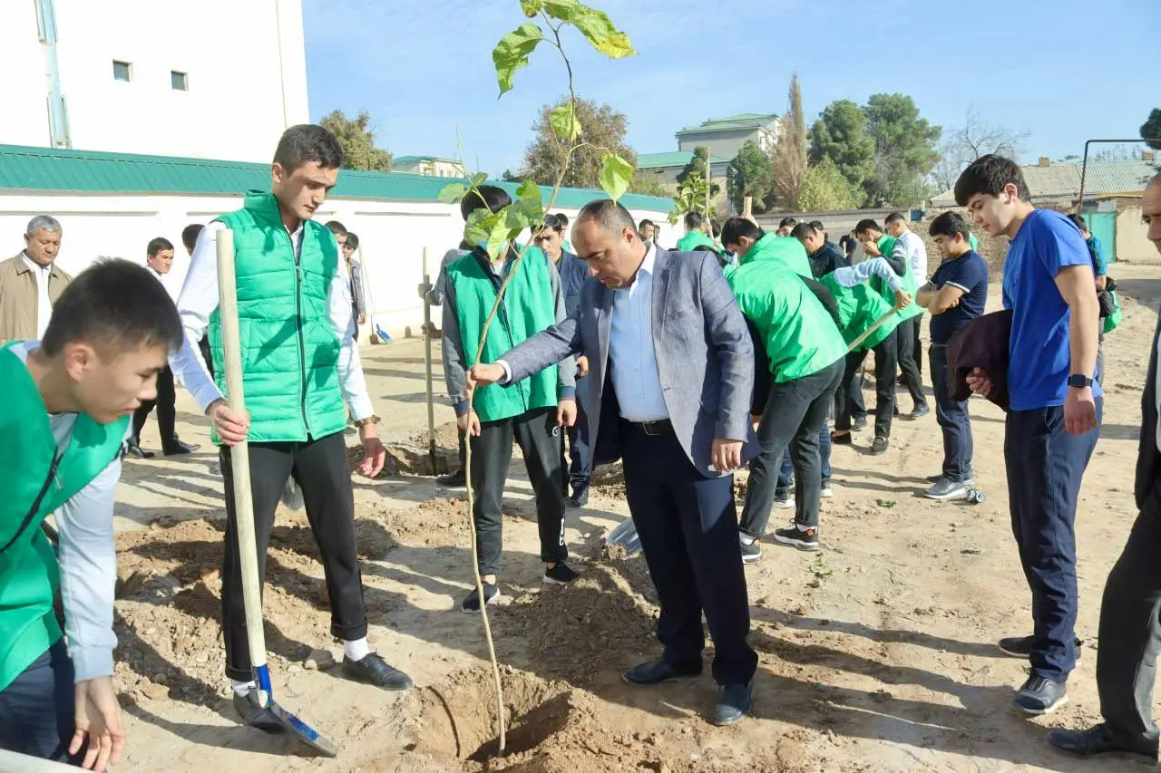 You are currently viewing TTA TERMIZ FILIALI DIREKTORI BOSHCHILIGIDA “YASHIL MAKON” LOYIHASI DOIRASIDA KO’CHAT EKISH ISHLARI AMALGA OSHIRILDI