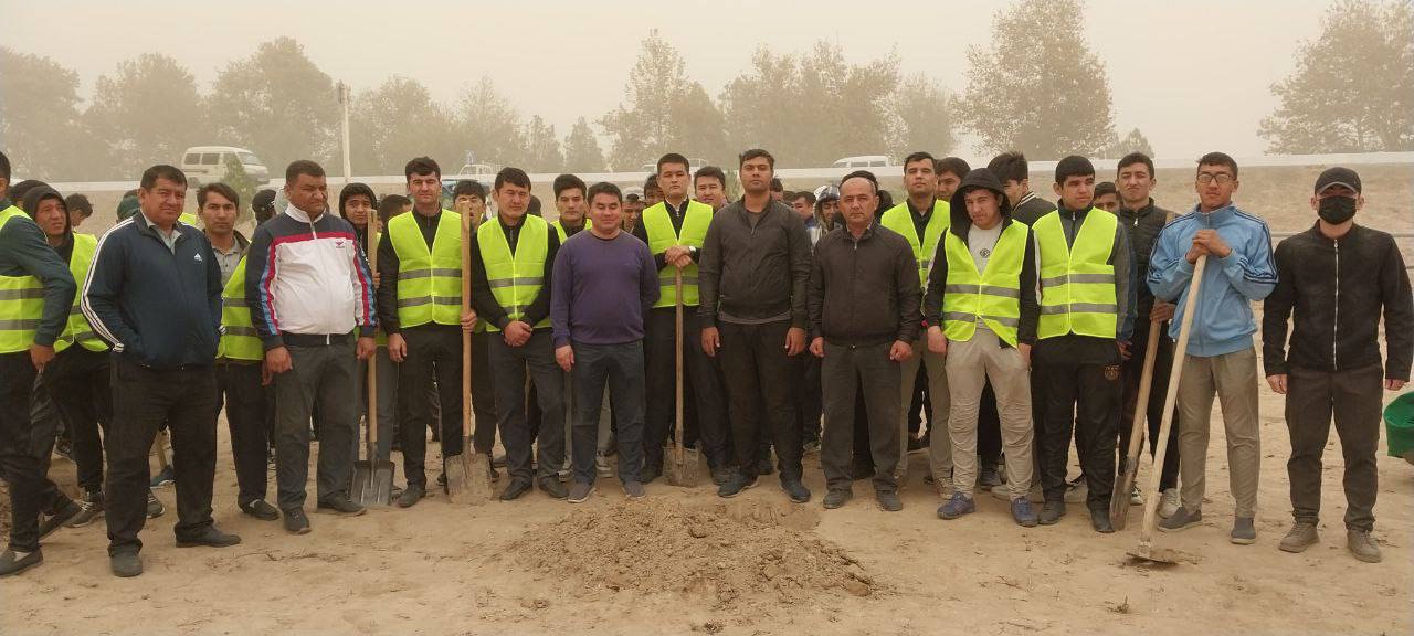 You are currently viewing Improvement works were carried out within the framework of the “Green Field” project.