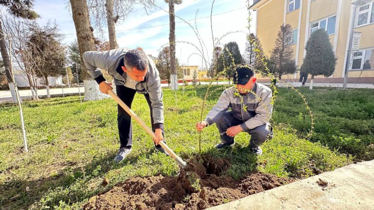 Read more about the article Hashar — obod yurtning ezgu qadriyati