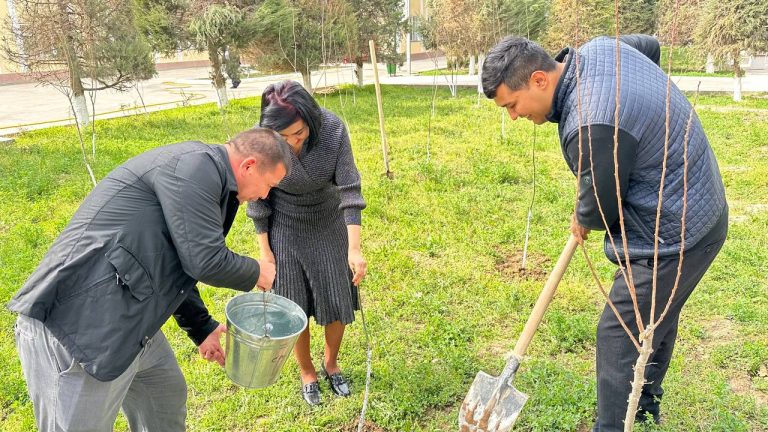 Read more about the article Hashar elga yarashar