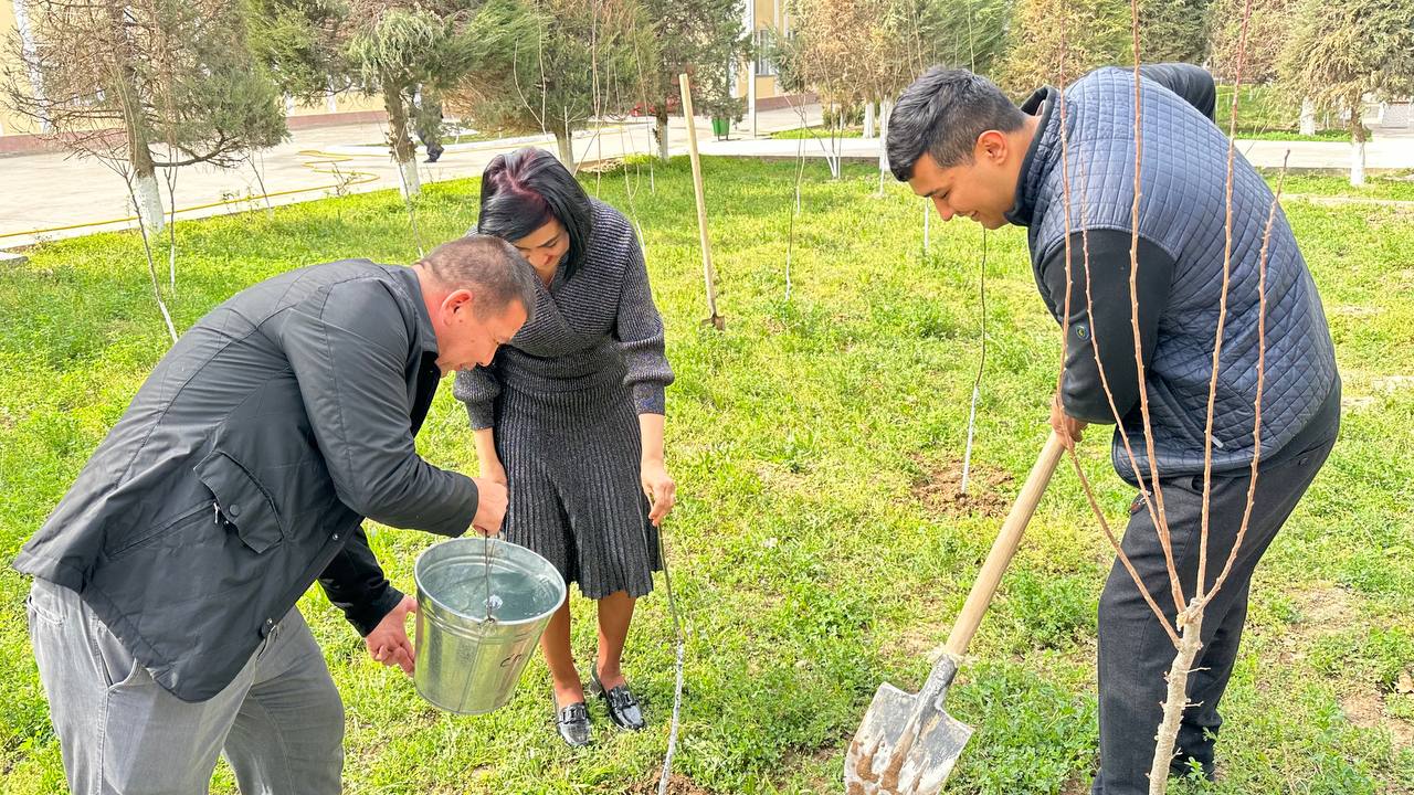 You are currently viewing Hashar elga yarashar