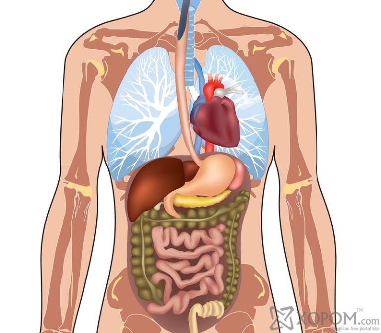 Read more about the article Mutaxassis maslahati