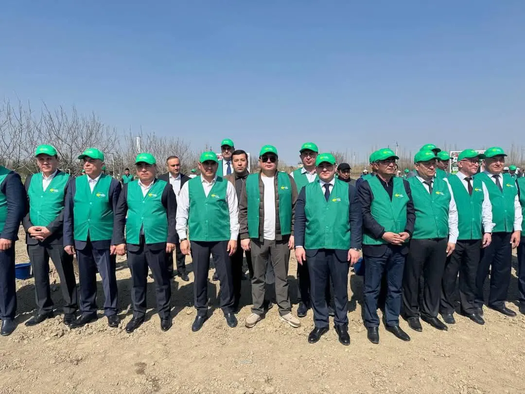 Подробнее о статье «Сады интеллектуалов» созданы в вузах в рамках нацпроекта «Зеленое пространство».