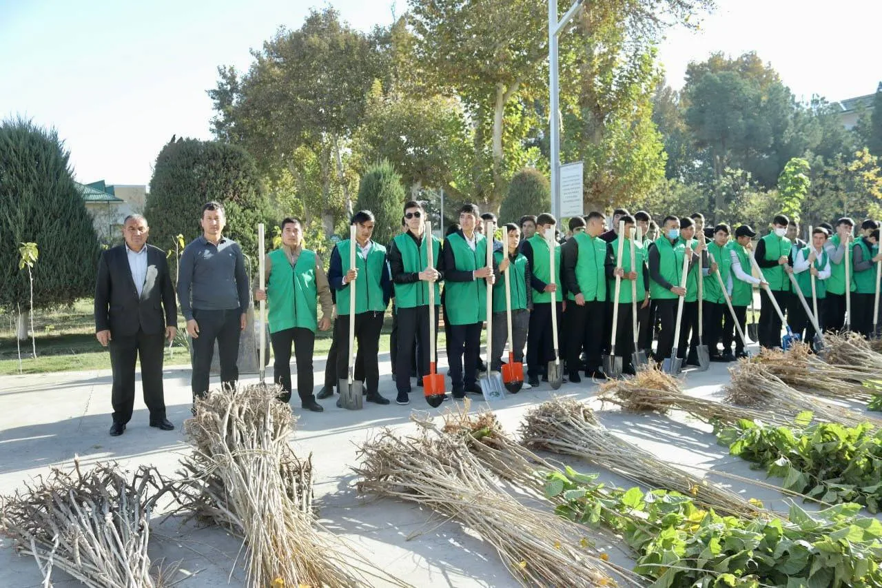 Подробнее о статье Зеленая зона