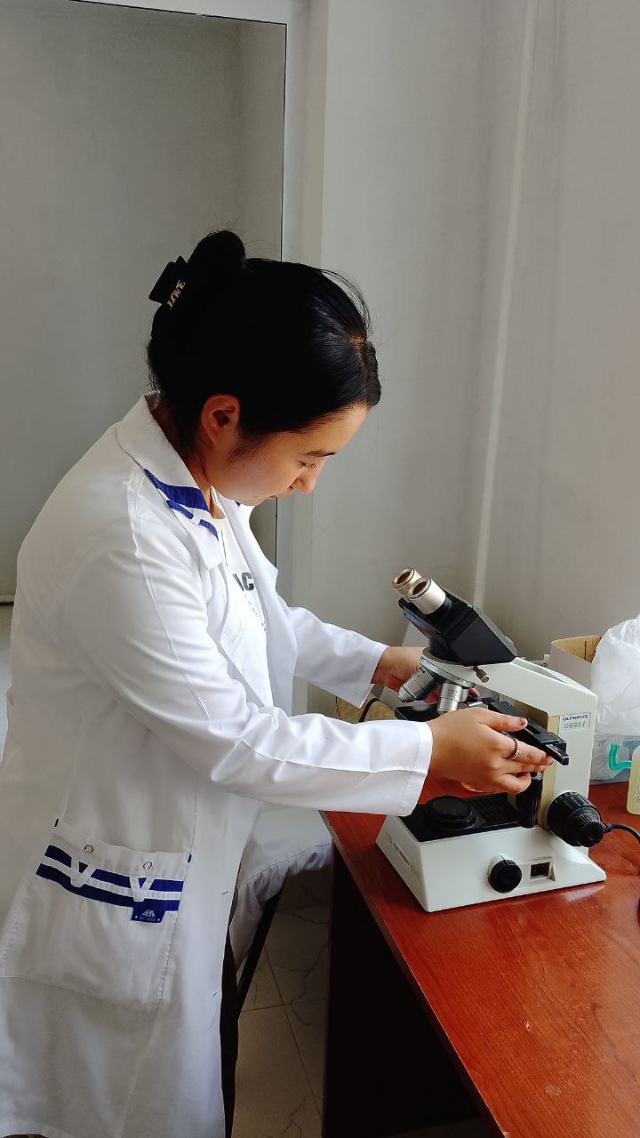 Подробнее о статье Летняя стажировка — время применить знания на практике!