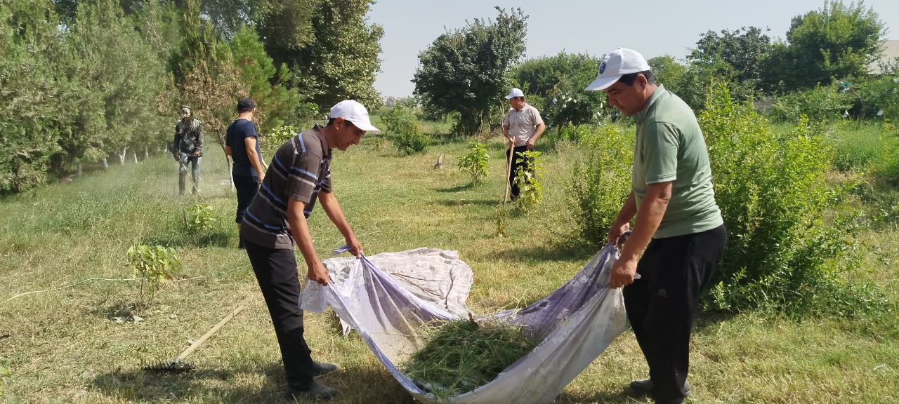 Read more about the article As part of the “Dolzarb 90 Kun” project, employees of the TTA Termez branch are carrying out landscaping work.