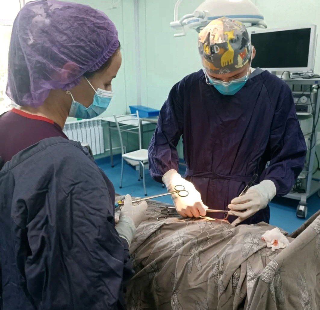 Вы сейчас просматриваете Зимняя стажировка для студентов: опыт и навыки.