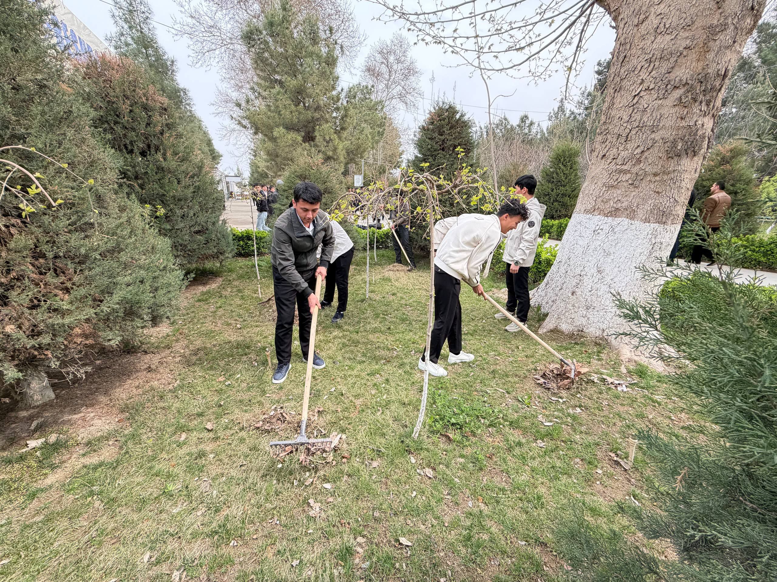 Read more about the article Yurt obodligi, avvalo, mahalladan boshlanadi!