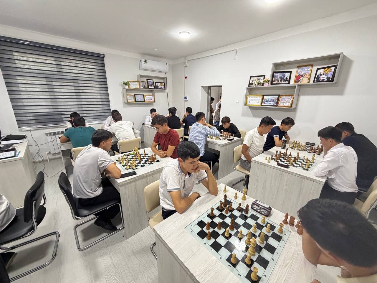 Read more about the article Direktor kubogi